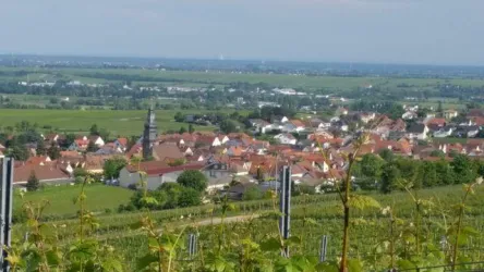 Ein Bild von der Sicht aus Oben, von Kallstadt. Man sieht Kallstadt aus der ferne und die davor liegenden Weinberge.
