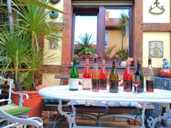 Weinprobe-im-Weingut-Christ