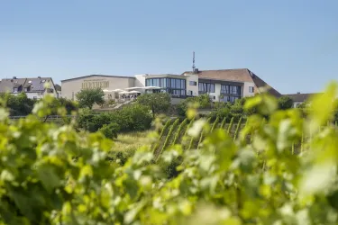 Die Winzergenossenschaft von Herxheim am Berg, von der Ferne. Im Vordergrund sieht man eine Landschaft aus Weinbergen.