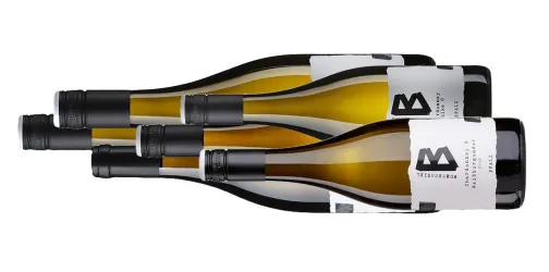 Jahrgangspräsentation im Weingut Bohnenstiel - Weinflaschen