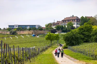 Gäste auf dem Wanderweg in Richtung Herxheim am Berg.