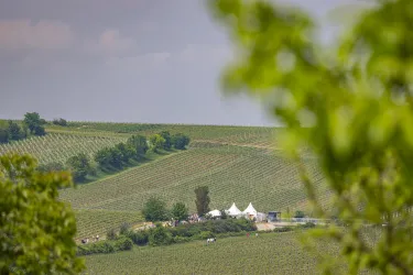 Stationen der Weinwanderung in den Weinbergen