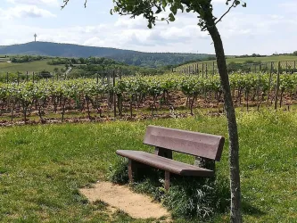 Ruhebank (© Urlaubsregion Freinsheim)