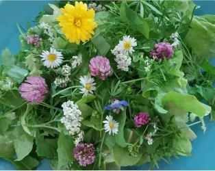 Ein bunter Wildblumen- und Wildkräuterstrauß