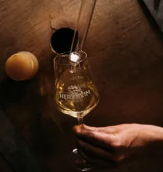 Ein Weinfass das geöffnet wurde und aus dem ein Glass Wein entnommen wird. Auf dem Foto wird ein Glass Wein befüllt.