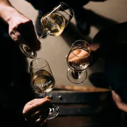 Drei sich zuprostende Weingläser der Winzergenossenschaft Herxheim/Bg.