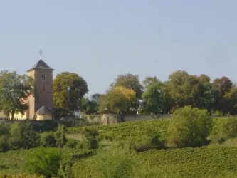 Schlossgarten (© Urlaubsregion Freinsheim)