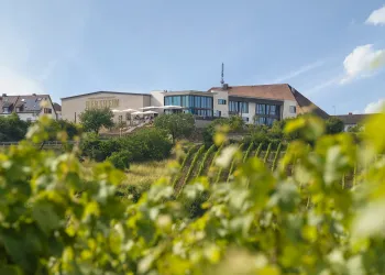 Das Gebäude der Winzergenossenschaft von Herxheim am Berg von der Ferne aus fotografiert.