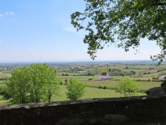 Schlossgarten Bild 3 (© Urlaubsregion Freinsheim)