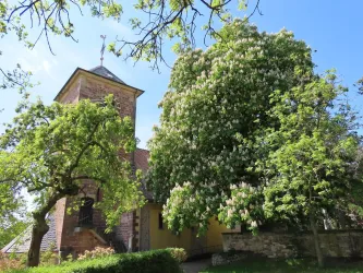 Schlossgarten und Kirche Bild 4 (© Urlaubsregion Freinsheim)