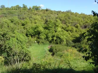 Felsenberg 2, mit Büschen bewachsener Hang (© Urlaubsregion Freinsheim)