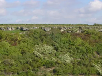 Herxheim am Berg - Karsthöhle NSG Berntal-Felsenbg (© Urlaubsregion Freinsheim)