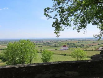Balkon der Pfalz (© Urlaubsregion Freinsheim, Metzger)