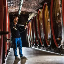 It`s all about Sekt (© Winzergenossenschaft H/Bg.)