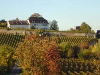 Panoramablick auf Herxheim am Berg