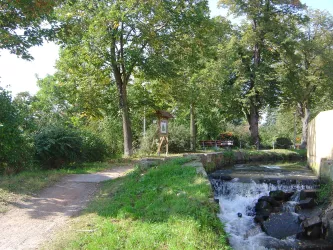 Bachlauf der Isenach in Erpolzheim