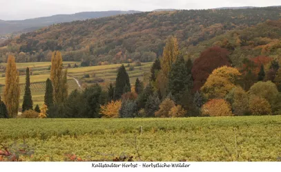 Kallstadter Herbst