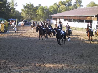 Reitturnier Reitverein Weisenheim am Sand