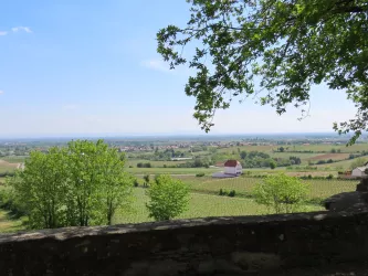 Ausblick Schlossgarten Herxheim