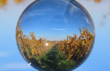 Blick auf Freinsheim durch Glaskugel von Friedhof aus 2