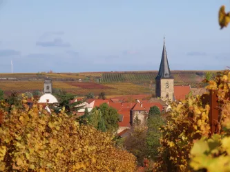 Blick auf Freinsheim von Friedhof aus