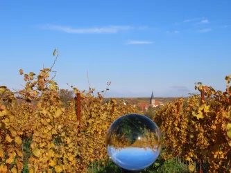 Blick auf Freinsheim durch Glaskugel von Friedhof aus 3