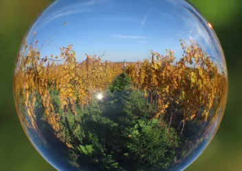 Blick auf Freinsheim durch Glaskugel von Friedhof aus