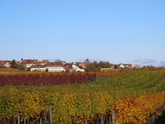 Blick auf Herxheim von Oschelskopf aus