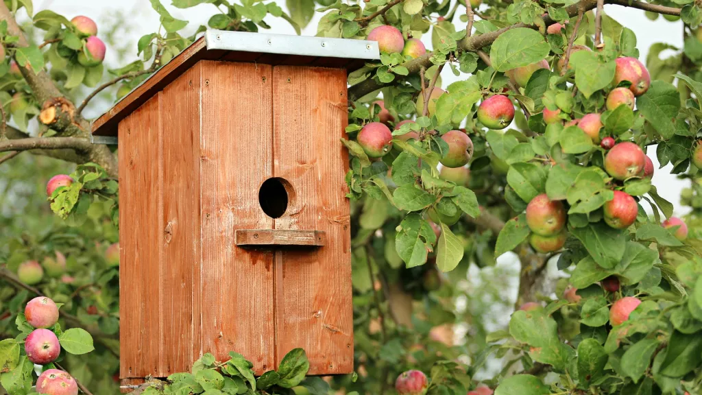 Vogelhäuschchen