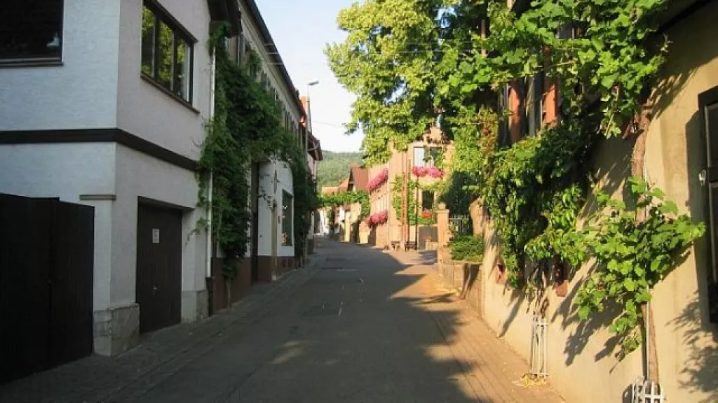 Straßenansicht der Leistadter Straße in Bobenheim am Berg
