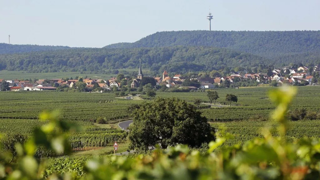 Panoramaansicht Weisenheim am Berg von Osten