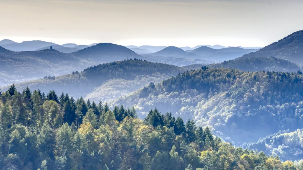 Panorama des Pfälzerwaldes