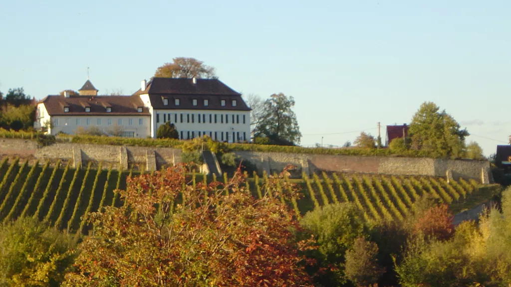 Panoramablick auf Herxheim am Berg