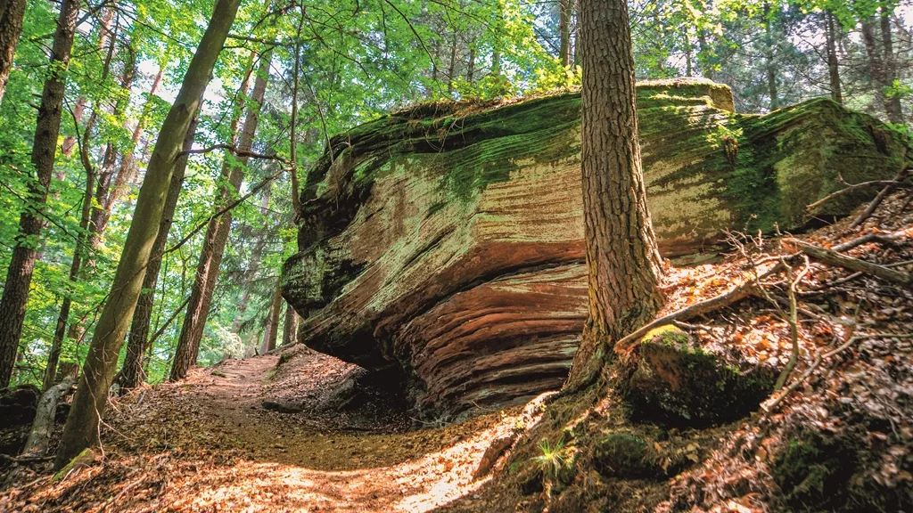 Naturdenkmal Krumholzerstuhl