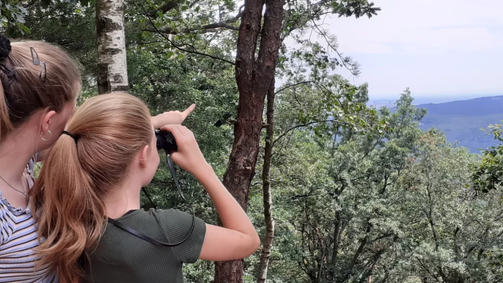 Kinder am Aussichtspunkt Heidenfels mit Fernglas