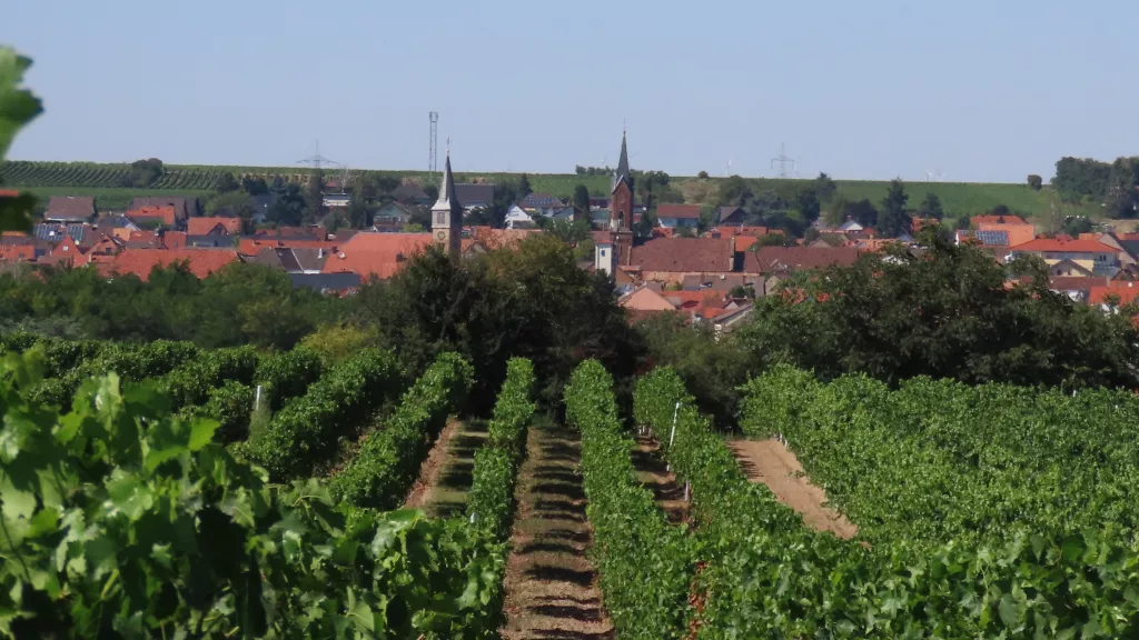 Panoramaansicht von Weisenheim am Sand