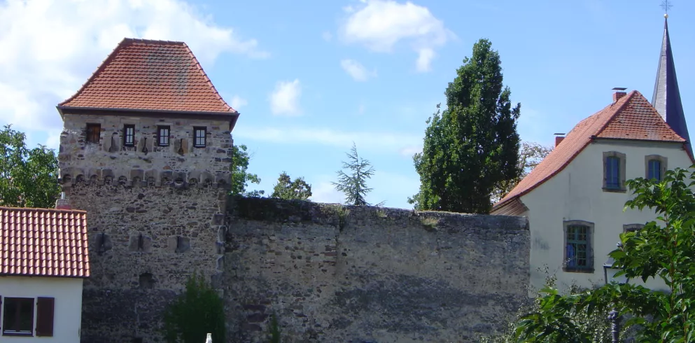 Freinsheimer Stadtmauer vom Barockgarten aus gesehen