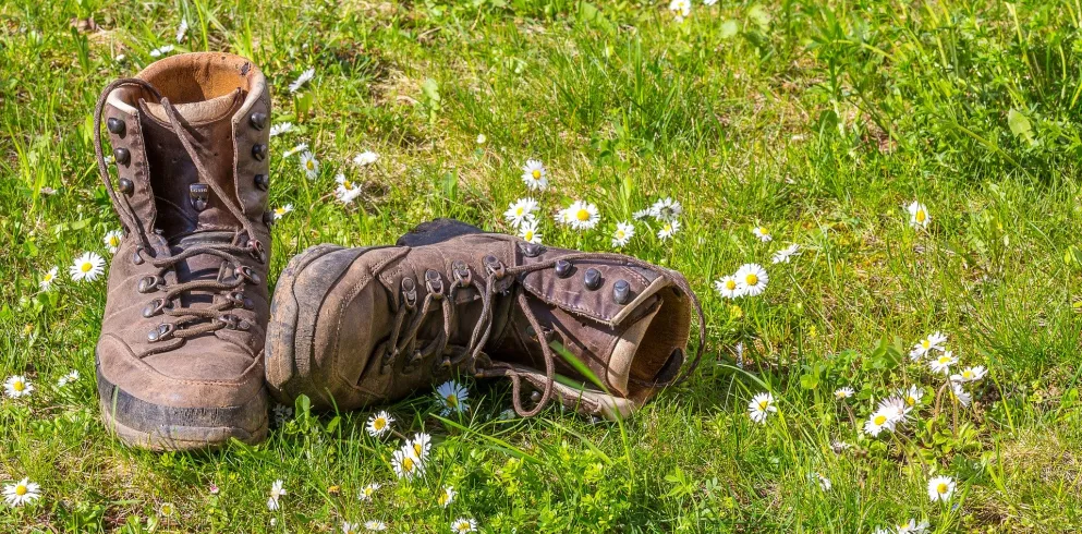 Wanderschuhe im Gras