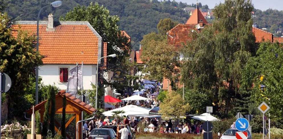 Winzertafel in der Leistadterstr. 