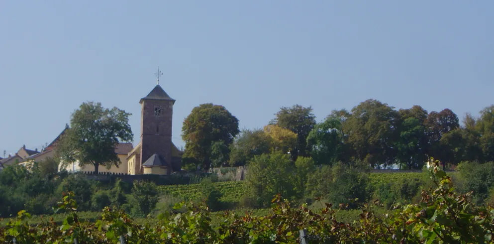 Kirche und Schlossgarten Herxheim am Berg