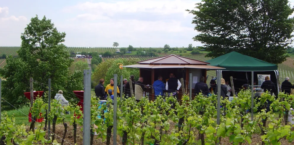 Ausschankstelle in den Weinbergen