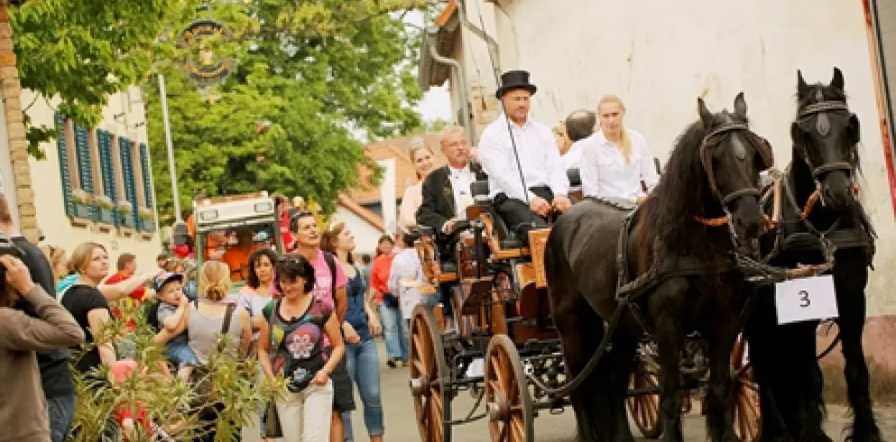 Umzug beim Partnerschafts-, Wein und Heimatfest