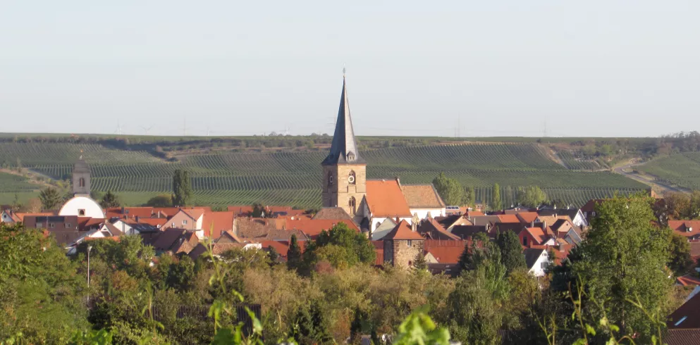 Blick auf Freinsheim
