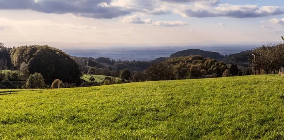 Odenwald Panorama