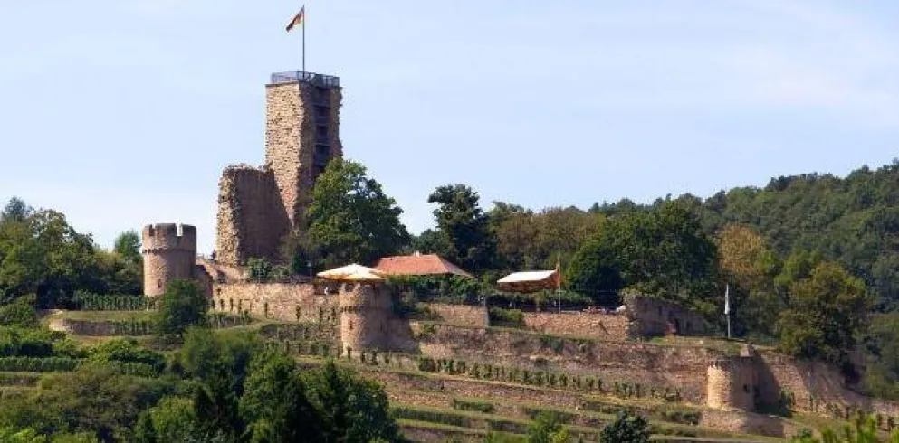 Wachtenburg Wachenheim