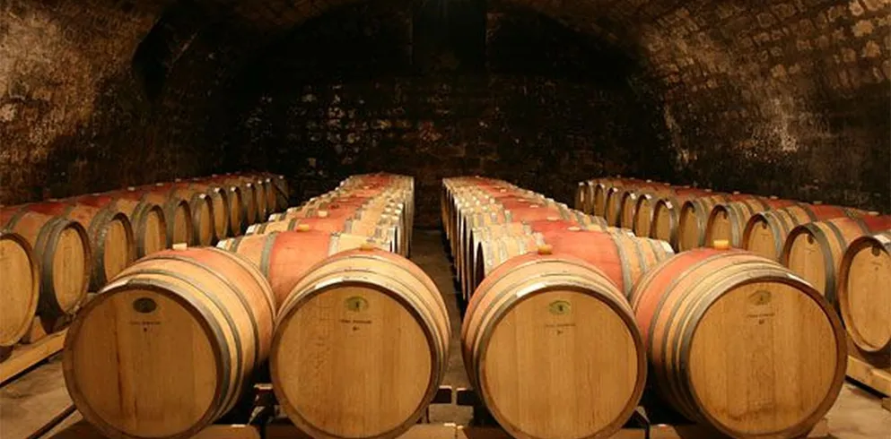 Weinkeller mit Holzfässern