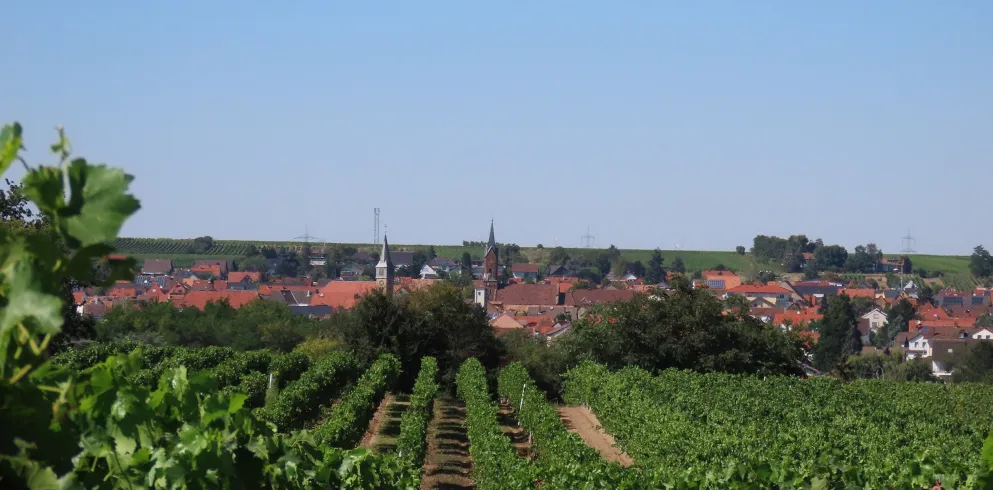 Ansicht auf Weisenheim am Sand