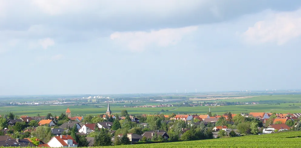 Ortsansicht Weisenheim am Sand