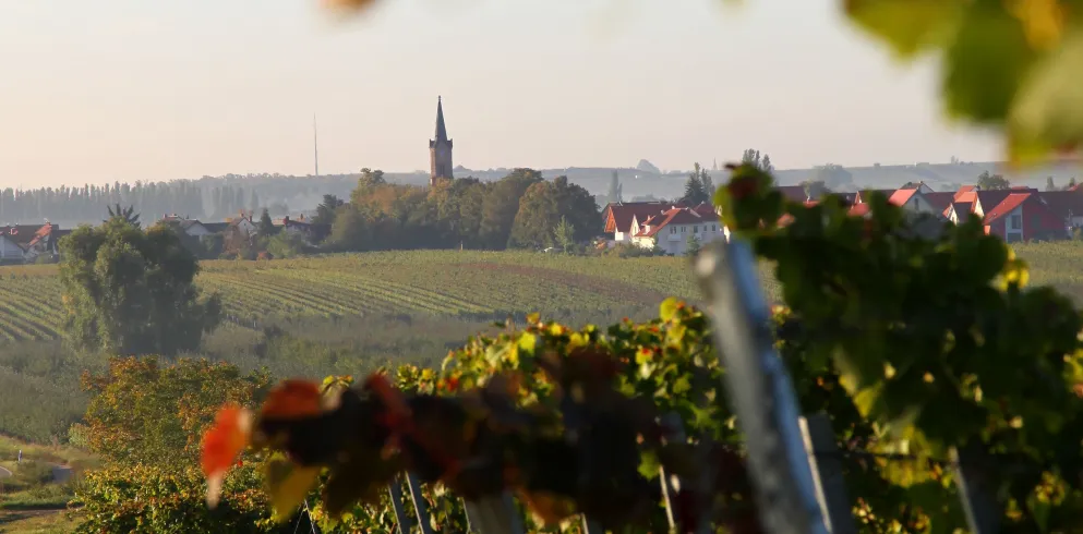 Erpolzheim