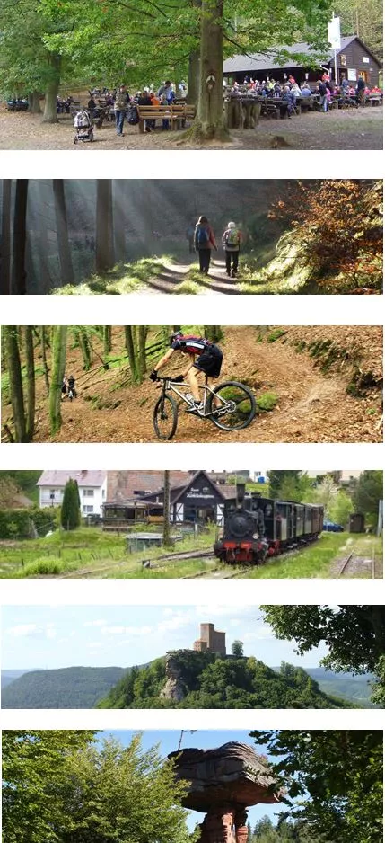 Bildercollage Erlebnis Pfälzerwald